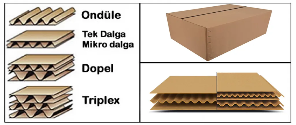 Triplex Koli
